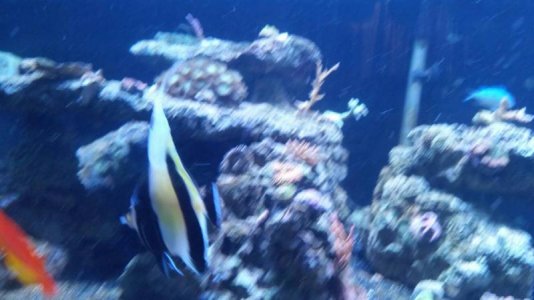 uploadfromtaptalk1409363710331.jpg uploadfromtaptalk1409363710331.jpg