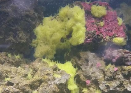 2014-08-30 00.20.03.jpg