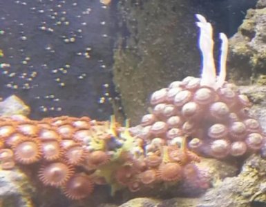 2014-08-30 00.20.30.jpg