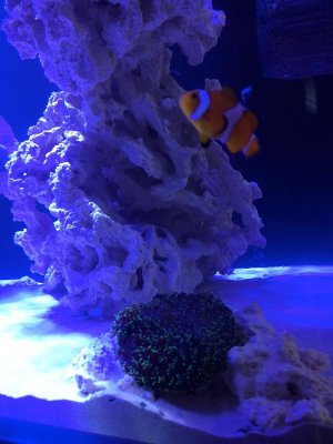IMG_1927.jpg