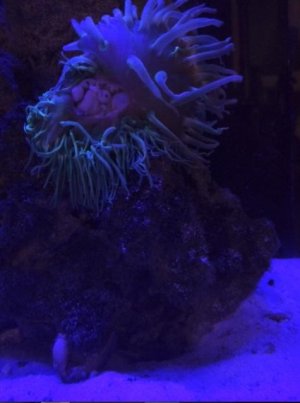 Screen Shot 2014-09-01 at 1.09.03 AM.jpg