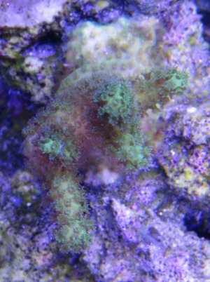 IMG_0964.jpg