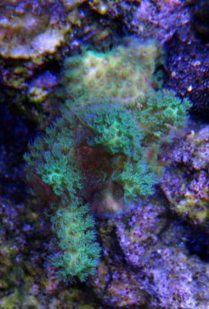 IMG_1063.jpg