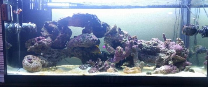 2014-09-03 21.39.21[1].jpg