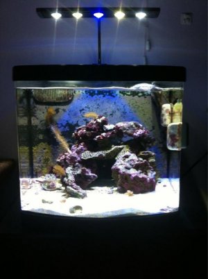 ImageUploadedByTapatalk1409875816.911613.jpg ImageUploadedByTapatalk1409875816.911613.jpg