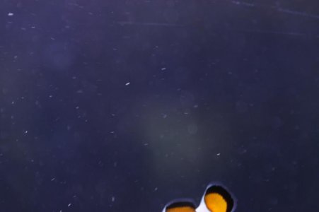 stuff 1.jpg stuff 1.jpg