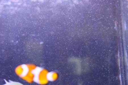 stuff 3.jpg stuff 3.jpg