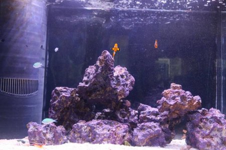 IMG_5230.jpg IMG_5230.jpg