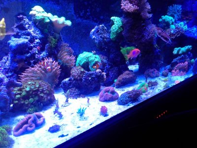 20140908_084650.jpg