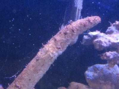 2014-09-07 14.47.27.jpg