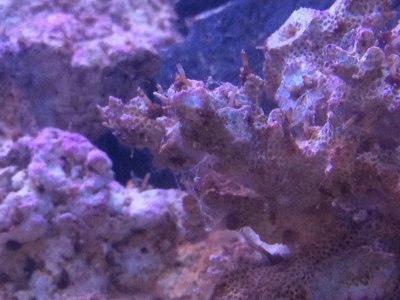 2014-09-07 14.47.35.jpg