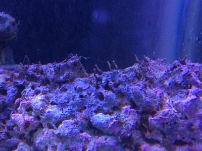 2014-09-07 14.47.38.jpg