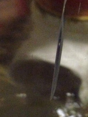 ImageUploadedByTapatalk1410216166.725870.jpg ImageUploadedByTapatalk1410216166.725870.jpg