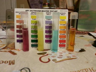 uploadfromtaptalk1410246758230.jpg uploadfromtaptalk1410246758230.jpg