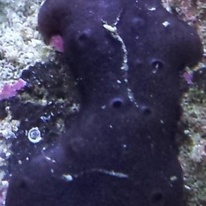 20140910_191117.jpg