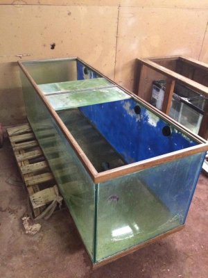 ImageUploadedByTapatalk1410402763.539326.jpg ImageUploadedByTapatalk1410402763.539326.jpg