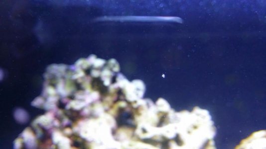 20140912_000946_N Cactus Ln.jpg