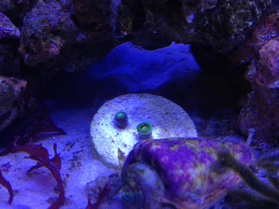 2014-08-21 22.52.02.jpg