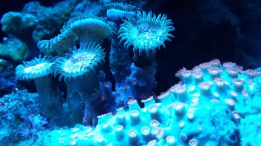 20140907_210631.jpg