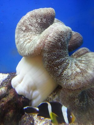 20140913_202714.jpg 20140913_202714.jpg