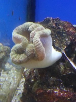 20140913_202738.jpg 20140913_202738.jpg