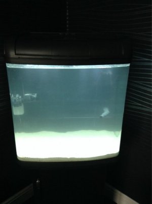 ImageUploadedByTapatalk1410693787.436888.jpg ImageUploadedByTapatalk1410693787.436888.jpg