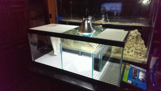 IMAG0706.jpg