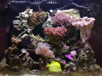 Copy (2) of DSCN3334.jpg