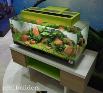 hagen-fluval-edge-reef-plant-8.jpg