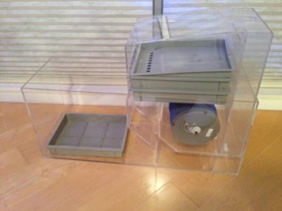 image (1).jpg