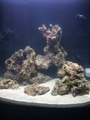 ImageUploadedByTapatalk1410975187.545067.jpg ImageUploadedByTapatalk1410975187.545067.jpg