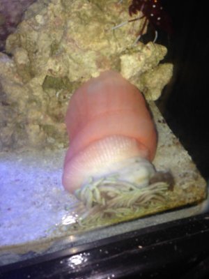 2014-09-18 08.25.54.jpg