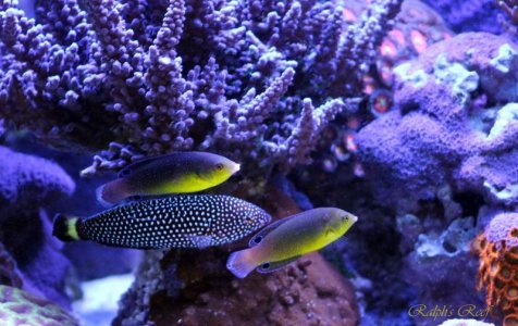 IMG_7540.jpg