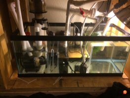 ImageUploadedByTapatalk1411317887.402599.jpg ImageUploadedByTapatalk1411317887.402599.jpg