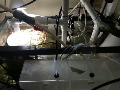 ImageUploadedByTapatalk1411317915.926269.jpg ImageUploadedByTapatalk1411317915.926269.jpg