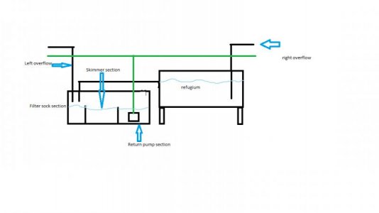 Dual Sump design.jpg