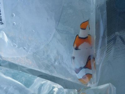 20140919_181335.jpg 20140919_181335.jpg