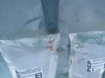 20140919_182157.jpg 20140919_182157.jpg