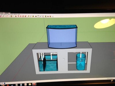 Stand and Sump Design.jpg