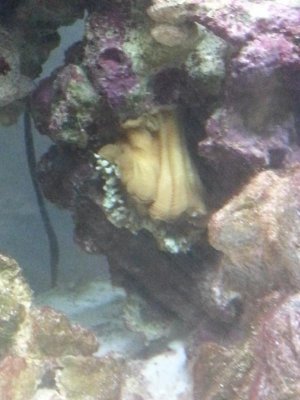 2014-09-23 10.03.31.jpg