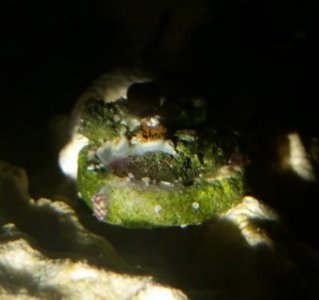 20140923_224646-1.jpg