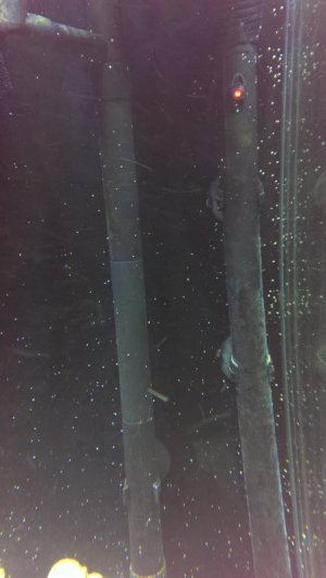 CameraZOOM-20140924141304833.jpg