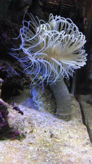 IMG_20140924_170130335 (1)   666.jpg