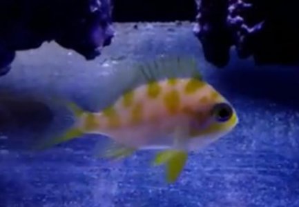 Screen Shot 2014-09-24 at 8.26.16 PM.jpg