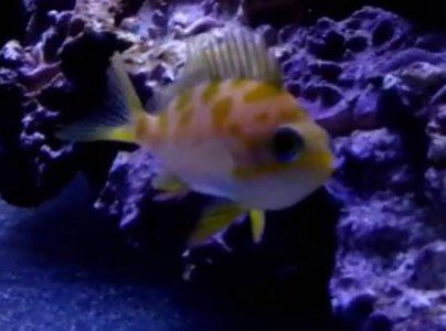 Screen Shot 2014-09-24 at 8.27.09 PM.jpg