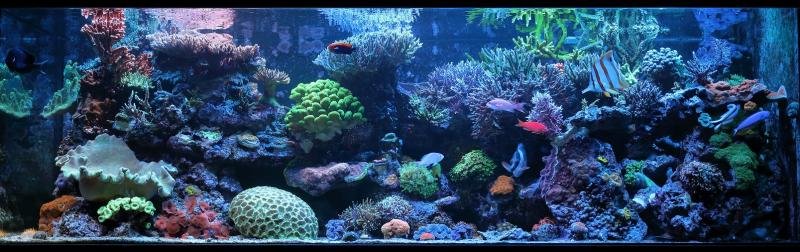 FTS-S.jpg