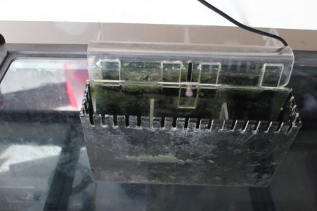 IMG_9228.jpg