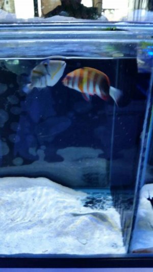 uploadfromtaptalk1411941765621.jpg uploadfromtaptalk1411941765621.jpg