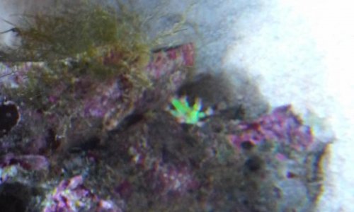 20140929_171935.jpg 20140929_171935.jpg