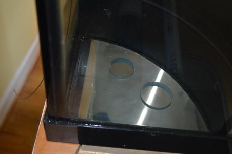 DSC_1552.jpg DSC_1552.jpg